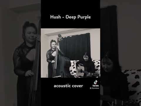 Hush - Deep Purple ( acoustic ver.)  #shorts