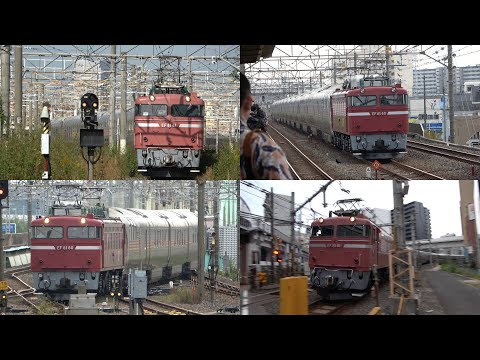 11/01/2024 Japan Railways: Push-Pull "Cassiopeia" Train