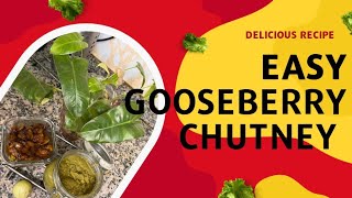 Easy Gooseberry chutney|Amala chutney |spicy Amala chutney|sweet amala chutney|Minis Tastebuds