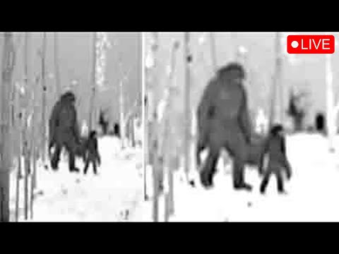 Scientists from Expedition Bigfoot Found STUNNING Proof of Bigfoot in Alaska!