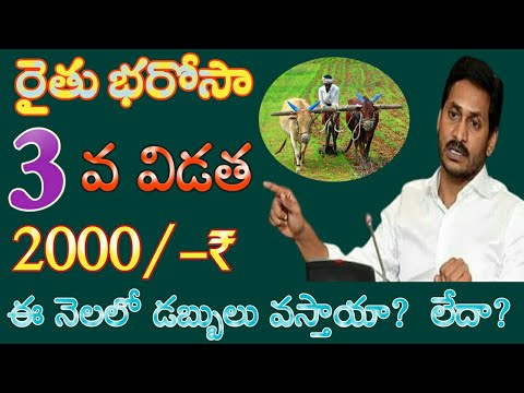 ysr rythu bharosa latest updates today 2024//ysr rythu bharosa latest updates today news 2024