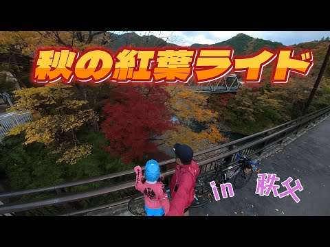 11月の秩父ライドは紅葉を楽しむだけじゃない！ダムカードあり、SLあり、サルありの盛りだくさん。