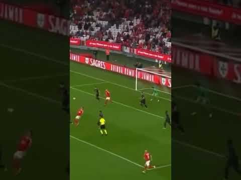 Golaço Do Di Maria Contra O Estrela Amadora 🔥🔥🔥