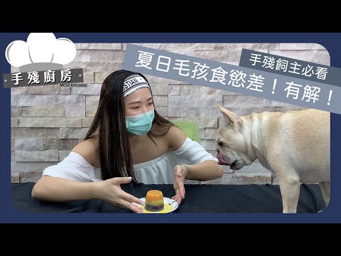 手殘飼主必看/ 夏日毛孩食慾差，5個撇步讓毛孩胃口大開｜手殘廚房