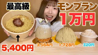 【最高級 VS コンビニ】モンブラン食べ比べてみたら1kg&1万円企画になってました《モッパン》