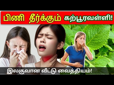 பிணி தீர்க்கும் கற்பூரவள்ளி | இலகுவான வீட்டு வைத்தியம் | Home remedies in tamil | STAR LABORATORY