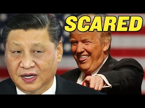 China Is FREAKING OUT After US Election