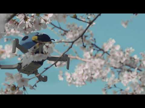 【春・桜編】くまもと観動プロジェクト "Lady Bird Trip"