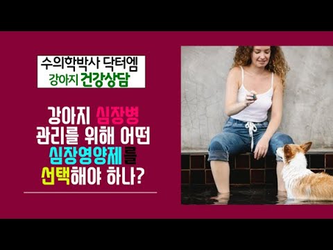 [강아지 심장병] 강아지심장병 관리를 위한 강아지 심장영양제 선택시 꼭 알아야 할 사항!