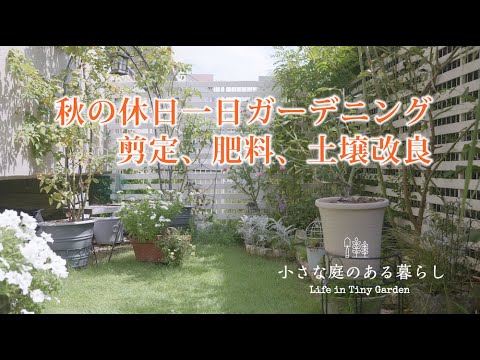 ガーデニング Vlog｜秋のガーデニング土壌改良、施肥、夏剪定｜ 〜小さな庭のある暮らし 140〜Gardening ｜ Life in a tiny garden