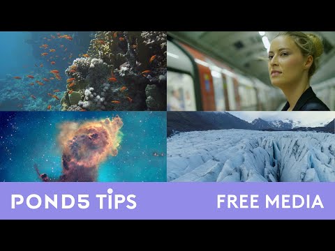 Pond5 Tips - Free Media