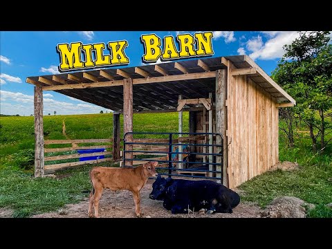 One Man Builds Milk Barn in Under 20 Minutes!