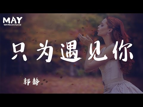 只为遇见你 Nice To Meet You 郭静  ( 张铭恩 文咏珊  高音质 无杂音 电视剧 主题曲 片头曲 ) 【 遇见你呀 给你我所有 】 动态歌词lyrics