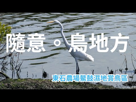 秋冬要去賞鳥聖地，記得導航要往北堤方向往南走喔！| 2024.11 Model Y 趣哪裡(127) 