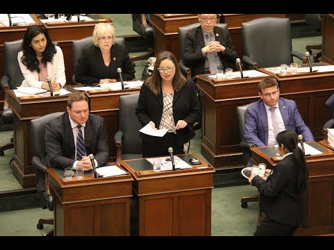 MPPs Fife and Lindo stand up for Kitchener-Waterloo families with autism