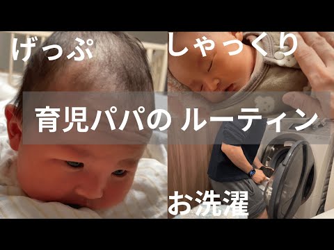 【ルーティン】かわいいあかちゃんと大変なお世話【げっぷ/しゃっくり/お洗濯】