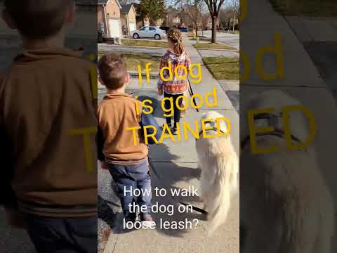 How to walk the dog on loose leash @GabieCocoMarmora