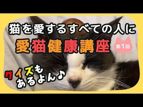 【猫しもべ検定(ΦωΦ)】「猫を愛する全ての人」に！愛猫健康講座のご紹介(第１回)