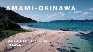 Amami-Okinawa: Exotic Oceanside Paradises | World Natural Heritage in Japan