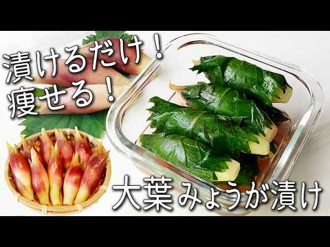 【みょうが 大葉漬け】食べるだけで痩せる！ 超簡単！ 箸が止まらない！ 無限みょうがレシピ 2品 冷えやむくみも撃退！ やみつき 作り置き みょうが甘酢漬け きゅうり 大葉