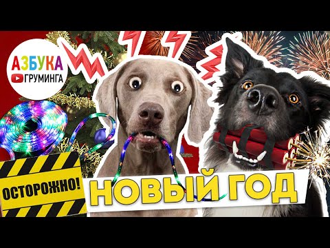 В канун Веселых празднований хотим вас предупредить!