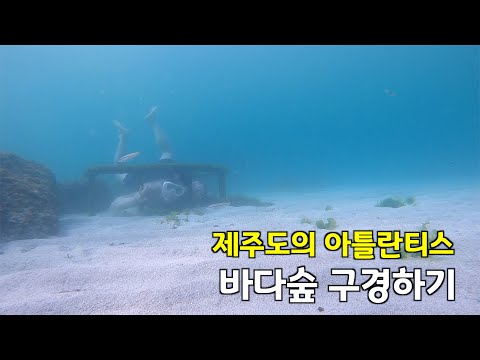 수심 깊은 바다에 있는 인공구조물 구경하러 가보기(feat. 판포포구)