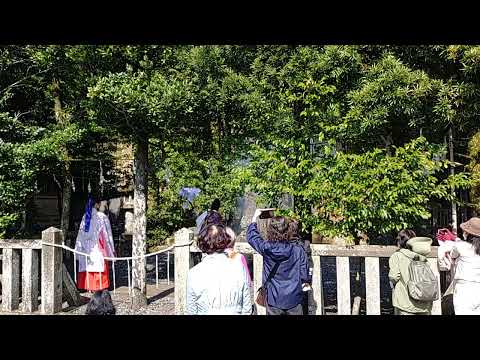 令和6年３月15日　諏訪神社　湯立て神事