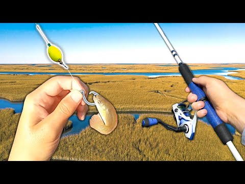 Fishing w/ MUD MINNOWS for Creek GIANTS! (Saltwater Fishing)