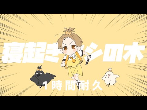 【1時間耐久】寝起きヤシの木／るぅと