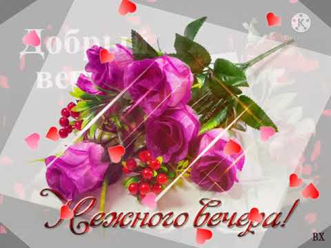 Прекрасного вечера! 🌹🌹🌹 Хорошего настроения! 🥰🥰🥰