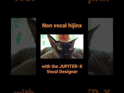 Fun with JUPITER-X Vocal Designer