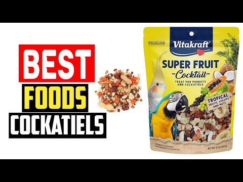 ✅The 5 Best Foods for Cockatiels in 2023