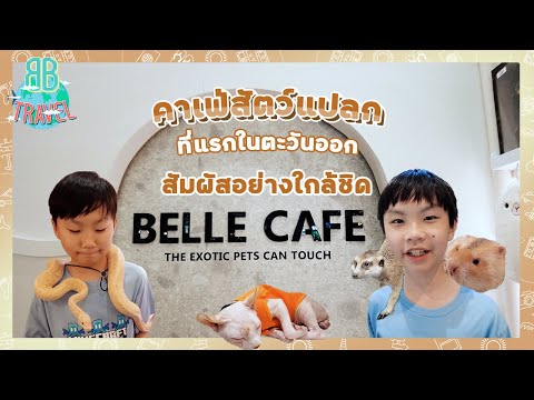 คาเฟ่สัตว์แปลกที่แรกในตะวันออก- BELLE CAFE | BB Travel Ep.74