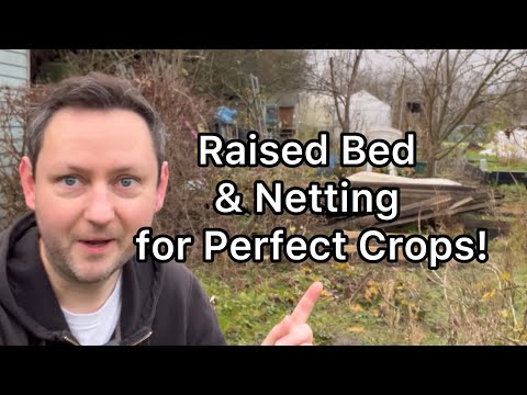 Ep 16 🌱 Building a Raised Bed & Adding a Net Cover for Perfect Crops!