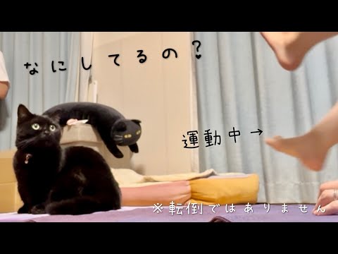 どうしてもヨガマットから動きたくない黒猫と、省スペースで運動する飼い主