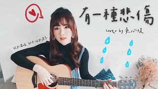 吳心緹-有一種悲傷（cover）