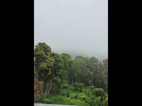 Fog and green#bali #travel #wonderfulindonesia