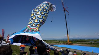 加須市民平和祭のジャンボこいのぼり① [4K] (埼玉県加須市) 2022/5/3/AM