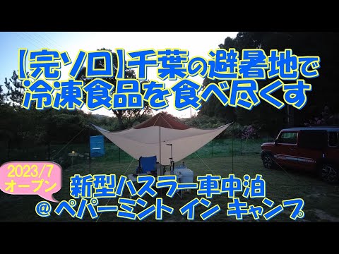 【完ソロ】千葉の避暑地で冷凍食品を食べ尽くす 新型ハスラー車中泊@ペパーミント イン キャンプ