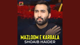 Mazloom E Karbala