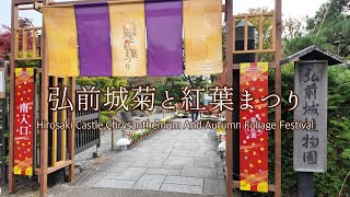 【東北・青森】秋に染まる弘前城 ～菊と紅葉まつり～（弘前大学留学生制作動画）