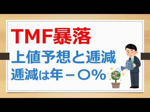 TMF暴落、今後の上値予想と逓減、逓減は年マイナス〇％【有村ポウの資産運用】241107