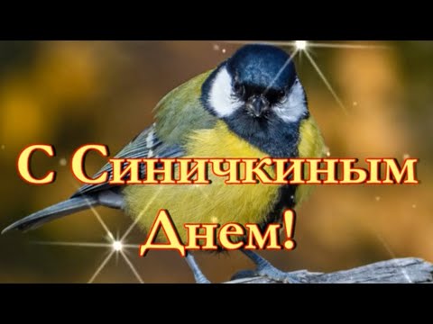 С Синичкиным Днем! Поздравление с Синичкиным Днем