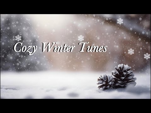 [Comfortable Western music playlist] Heartwarming ballads to listen to in winter/chill/R&B