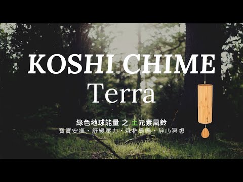 🎧 45分鐘🎧KOSHI CHIME地球土元素風鈴｜寶寶安撫音樂｜精靈之頻率｜寶寶睡眠音樂｜舒緩壓力音樂｜平靜的音樂｜冥想音樂｜深度睡眠｜閱讀背景音樂｜森林鳥鳴｜脈輪頻率