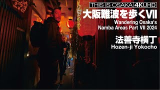 大阪難波界隈 VII Wandering Osaka's Namba Areas VII 2024 法善寺横丁 Hozen-ji Yokocho