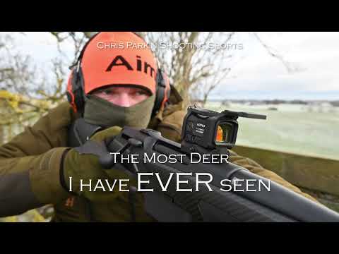 The most Fallow Deer I have EVER seen, hundreds run past, Aimpoint Driven Hunt in Sweden 2022