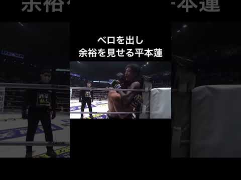 余裕を見せる平本蓮が面白いw #shorts 【RIZIN】