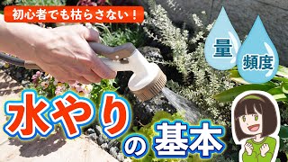 「土が乾いたら」っていつ？ 植物の水やりの基本を徹底解説！水やりのタイミング/量/頻度/時間がすべて分かる！【ガーデニング初心者必見】┊高木・草花・シンボルツリー・花壇