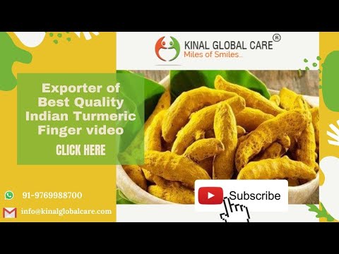 Indian Turmeric Finger